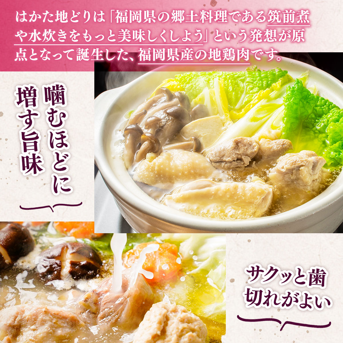 はかた地どり 美人 水炊き 2～3人前 コラーゲン付 セット [MEAT PLUS 福岡県 宇美町 um40azp010033] 鍋 博多 鶏鍋 水炊 地鶏 博多地鶏 はかた地鶏 博多地どり