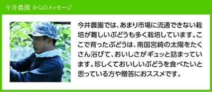 【令和8年産】【訳あり】宮崎県産　小粒なシャインマスカット1kg 【 ぶどう 果物 葡萄 フルーツ ブドウ デザート 川南町産 数量限定 期間限定 】 [B03401]