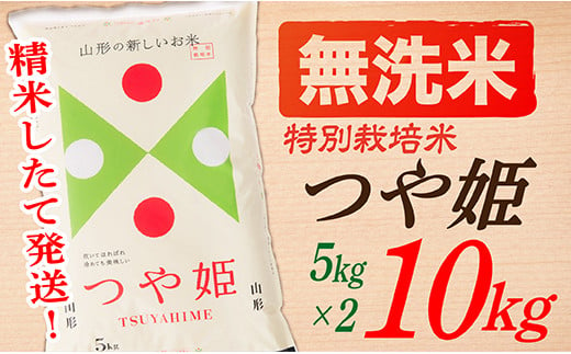 【令和6年産予約】【無洗米】山形県産つや姫10kg(5kg×2袋)