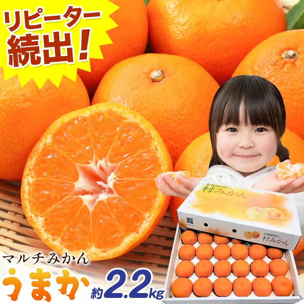 みかん マルチみかん「うまか」1箱 (約2.2kg)