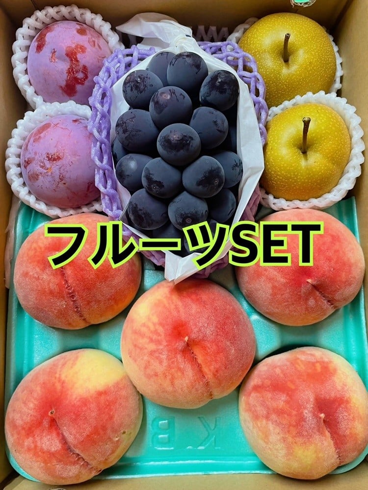 
                  旬の4種のフルーツSET 桃と梨とすももとぶどう【2026年発送】（ISI）B16-156 【巨峰 桃 すもも 葡萄 ぶどう ブドウ モモ もも スモモ すもも 令和8年発送 期間限定 山梨県産 甲州市 フルーツ 果物】
                