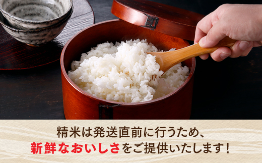 B393.立花山で育てた九州のブランド米・味くらべセット一升五合×3（6.75キロ）