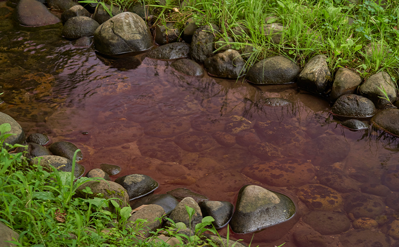 メガネの上から掛けられるサングラス オーバーグラス「Otani（オータニ）」側面までの視野と明るさを確保、テンプルがしなやかにフィット、掛け外しのしやすい軽量モデル「松風（まつかぜ）」(8)ベージュ・