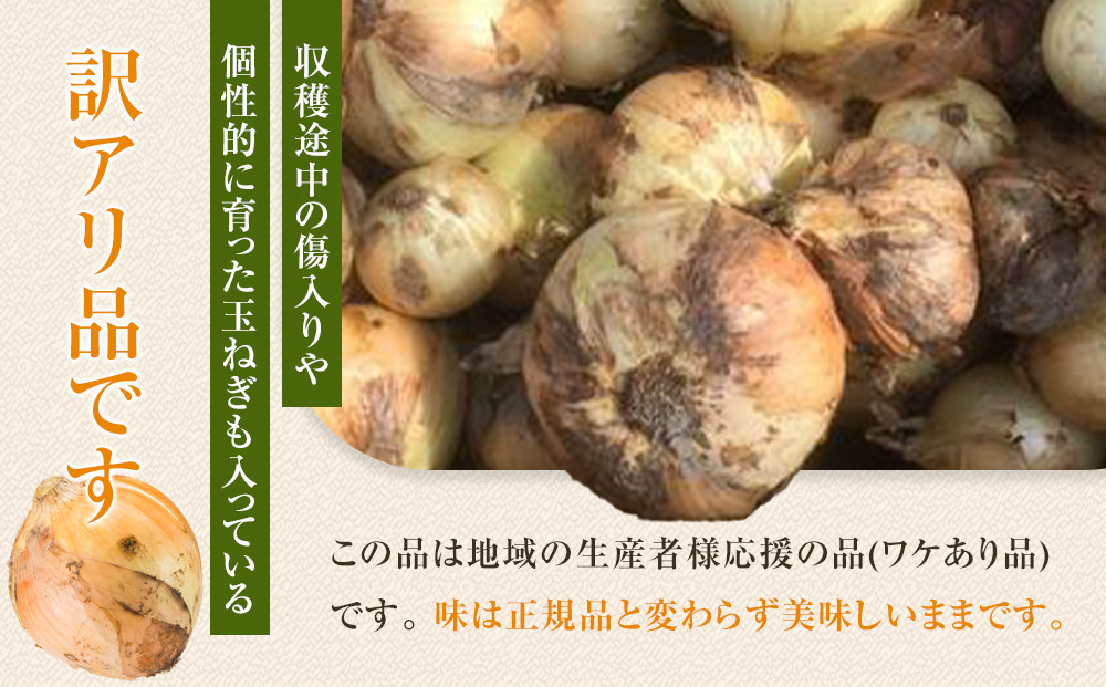 ［2026年発送分・先行予約］訳あり 農家さん直送 低農薬玉ねぎ 4kg程度 S～2L混合［4月中旬～7月中旬頃発送予定］ご家庭用 ※傷有り［KF19］