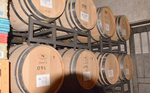 FYN6-105 【数量限定】月山山麓ワイン 赤・白 飲み比べ2本セット（メルロー・シャルドネヴィンテージ）720ml×2 ミディアムボディ 辛口 山形県 西川町