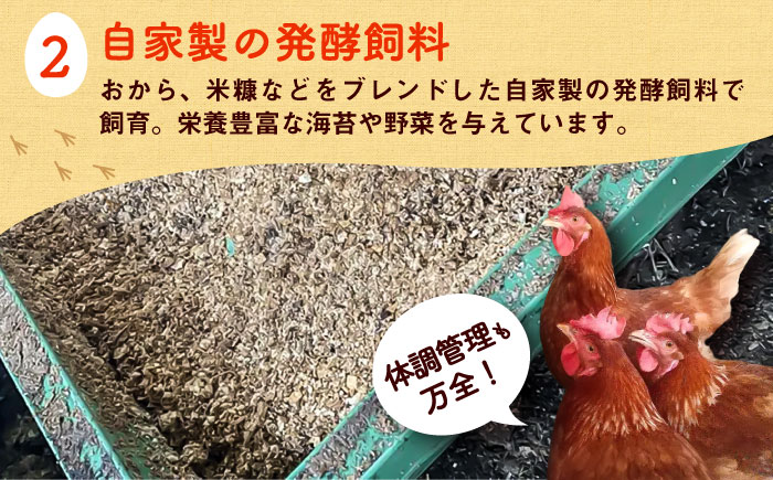 平飼い新鮮たまご 元気玉 計40個(10個×4パック) / 卵 ぷりぷり 新鮮 玉子 オムレツ たまごかけごはん 朝食 鶏卵 タンパク質 平飼い 濃厚 こく 熊本県 菊陽町【ぴよっこファーム】 [BH