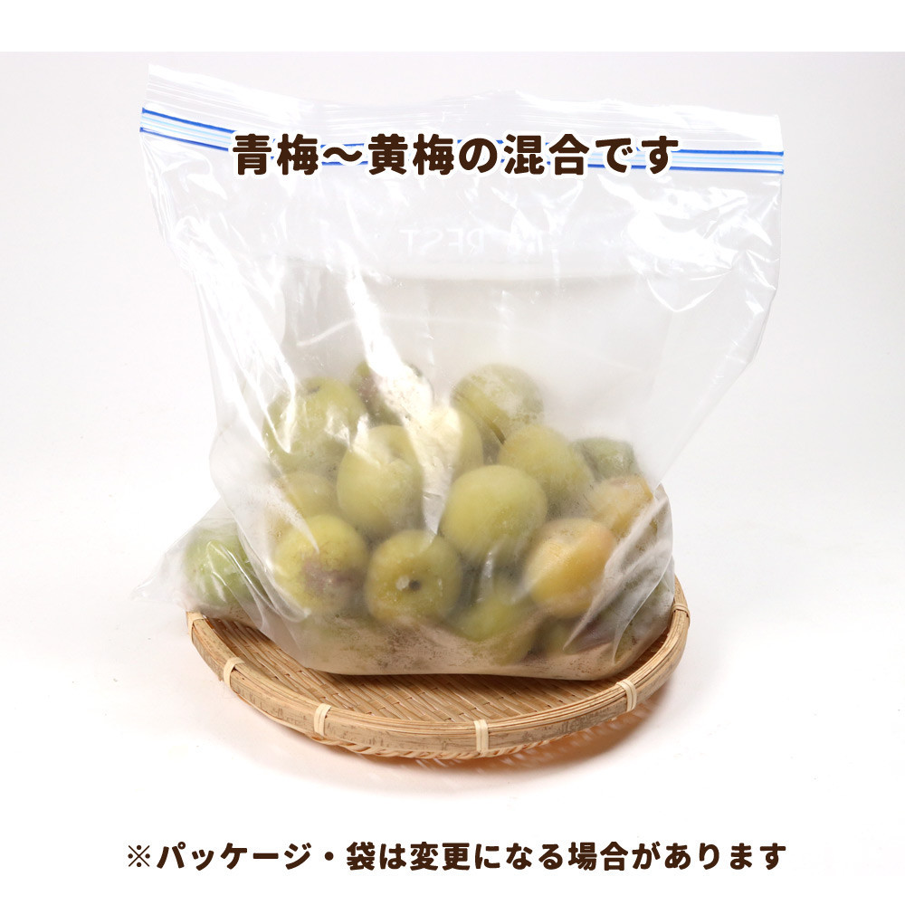 家庭用 冷凍梅約1kg ［紀州 南高梅 青梅 黄梅 完熟梅 ］［訳あり ］