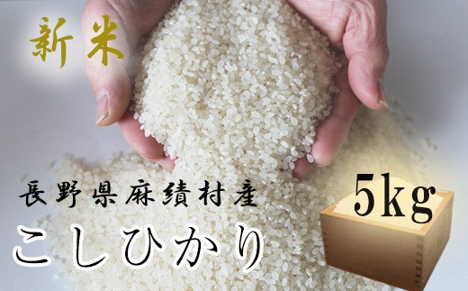 
                  【ふるさと納税】先行予約 長野県 麻績村産 新米 米 お米 こしひかり コシヒカリ 5kg  令和8年度産 白米 長野 麻績村 信州 長野県 麻績 新返礼品 信州
                