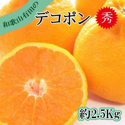 【秀品】和歌山有田のデコポン!約2.5kg　ギフトにも!【1620157】