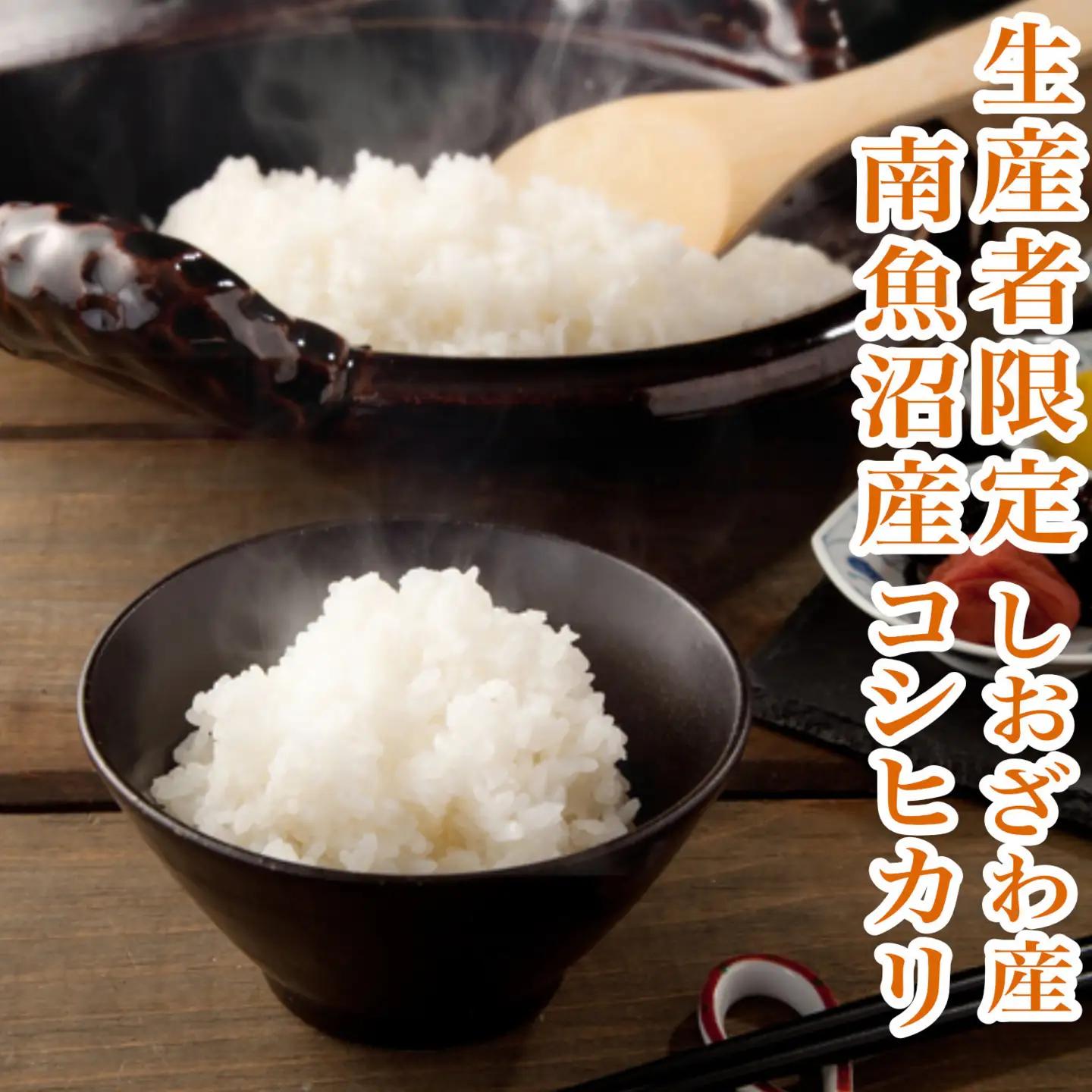 【令和8年　新米予約】定期便★5kg×6ヶ月 生産者限定 南魚沼しおざわ産コシヒカリ｜こしひかり【2026年10月上旬から1ヶ月以内に順次発送予定】