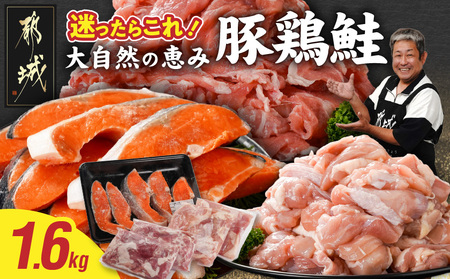 ≪肉×魚≫小分け3種セット(豚切り落とし250g×2P・鶏モモカット済300g×2P・銀鮭500g)_13-8402_(都城市) 小分けパック 冷凍 お弁当 おかず
