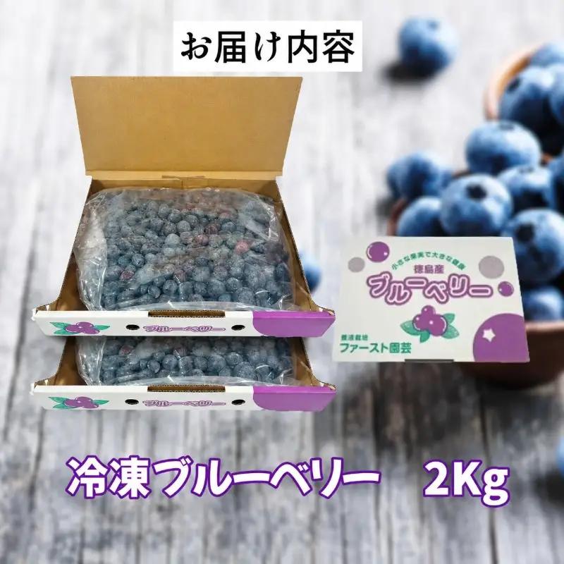 訳あり ブルーベリー 冷凍 2kg 大粒 冷凍ブルーベリー フルーツ 果物 徳島 小松島