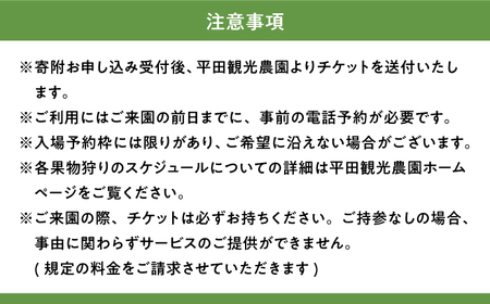 チケット 果物狩り 体験 2名様分 [APAA001] チケット