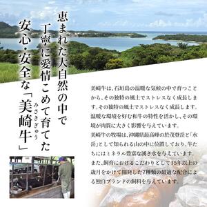 美崎牛を味わう！焼肉5種＆特製ハンバーグ よくばりセット | 牛肉 セット 和牛 黒毛和牛 沖縄 石垣 A5 オーガニック 幻の和牛 ギフト