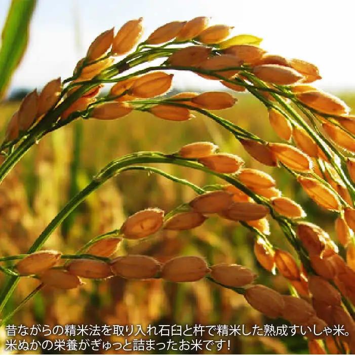 【定期便】 白米 さがびより5kg NAO039 全3回 白米