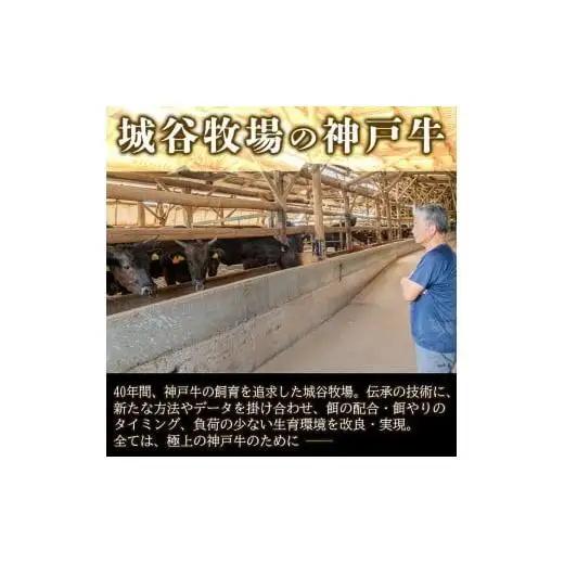 城谷牧場の神戸牛 ロース すき焼き しゃぶしゃぶ 600g 国産牛 和牛 神戸ビーフすきしゃぶ 冷凍