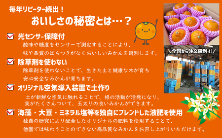 旬の柑橘類詰め合わせセット 約2.5kg | 果物 くだもの フルーツ 柑橘類 みかん ミカン 熊本県 玉名市 旬 ざっかん スイーツ 詰め合わせ 産地直送 家庭用