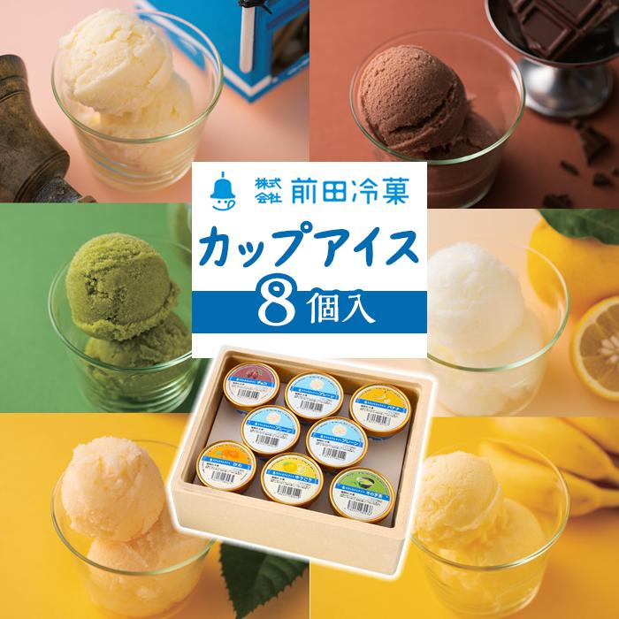 【ふるさと納税】前田冷菓　カップアイス8個入 | アイス アイスクリーム デザート スイーツ セット 長崎 長崎県 九州 送料無料 ご当地 ご当地アイス 長崎名物 お取り寄せ 取り寄せ