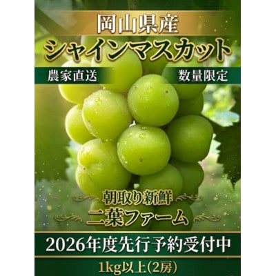 【2026年先行受付】岡山のぶどう(シャインマスカット)1kg以上(2房)【配送不可地域：離島】