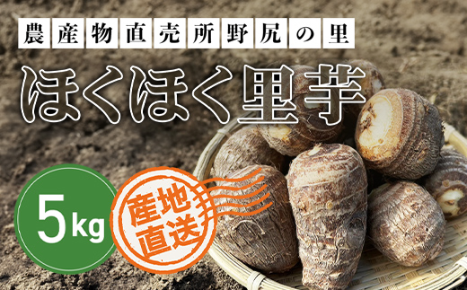 土づくりからこだわったほくほく里芋【５kg】  ANAR003