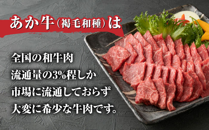 肥後の赤牛 焼肉 500g やきにく 焼き肉 贅沢 熊本 赤牛 褐牛 あかうし 褐毛和種 肥後 冷凍 国産 牛肉【やまのや】[YDF005]