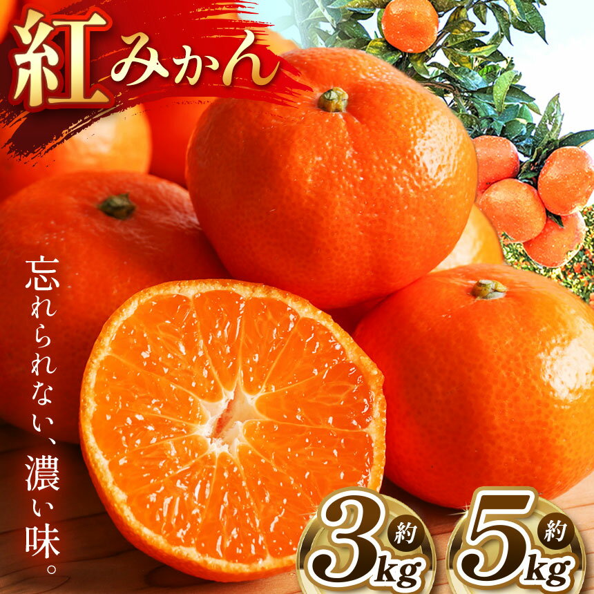 【ふるさと納税】 こだわり 紅みかん 柑橘 ミカン 3kg 5kg | 果物 くだもの フルーツ 柑橘 柑橘類 みかん 紅みかん 玉名 熊本 下田農園 生産者直送 産地直送 熊本玉名 送料無料