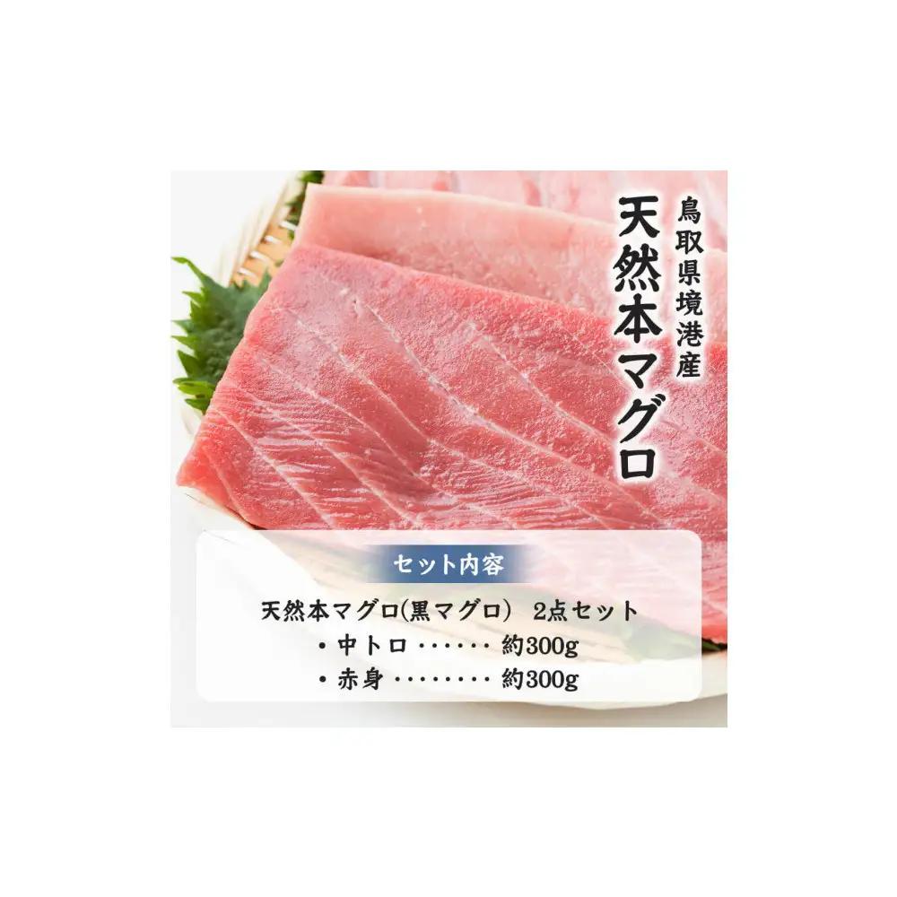 天然本マグロ(黒マグロ)　2点セット(中トロ・赤身)600～650g