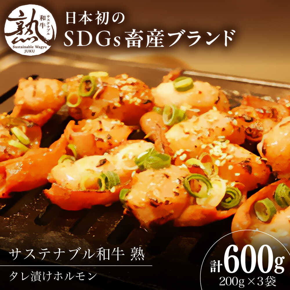 【ふるさと納税】 ホルモン サステナブル和牛 熟 タレ漬けホルモン3P 200g×3袋 計600g | サステナブル 和牛 熟 自家製 タレ漬け ホルモン 牛肉 肉 にく 600g 小分け 焼肉 焼き肉 BBQ 惣菜 おかず おつまみ 人気 おすすめ 島根県雲南市/株式会社熟豊ファーム[AIAT004]