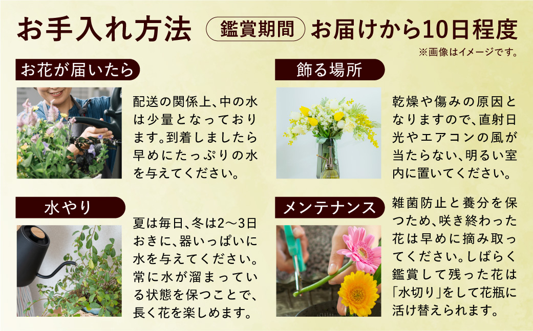 【定期便全6回】季節のフラワーアレンジメントM 【お任せ（ランダム）】 | ふるさと納税 花 フラワー 四季 ギフト プレゼント 北海道 石狩市_is110-086-999