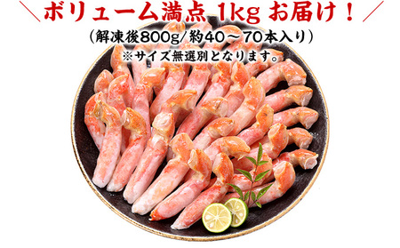 【訳あり】ズワイガニ カニポーション 1kg[024-b029_fn]かに