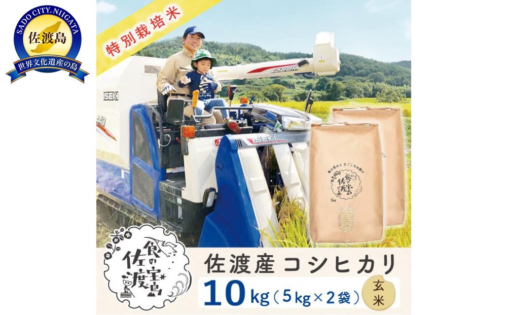 佐渡島産コシヒカリ 玄米10kg（5kg×2袋） 特別栽培米 農家直送195962-0344