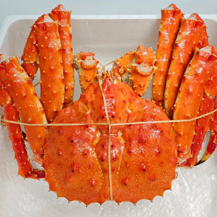 【ふるさと納税】164-1 たらばがに姿　4.1kg