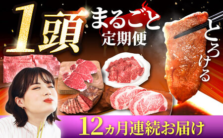 【12回定期便】佐賀県産 1頭まるごと 定期便 [IAH225]