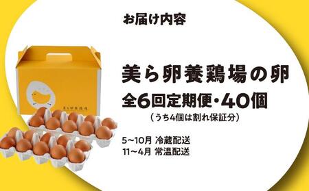 卵の黄身が掴めるほどの新鮮さ 美ら卵養鶏場の卵 40個【6ヶ月定期便】
