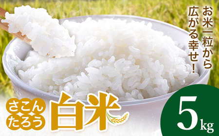 白米 5kg さこんたろう《90日以内に発送予定(土日祝除く)》熊本県 御船町 コメ おこめ 白米 ごはん 熊本県産