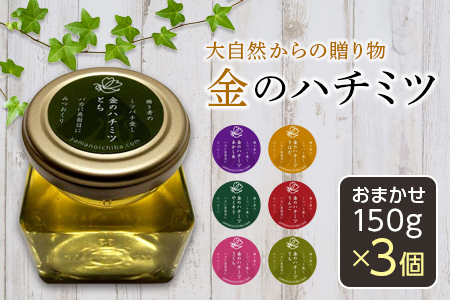 大自然からの贈り物「金の蜂蜜」おまかせ150g×3個 F2Y-1979