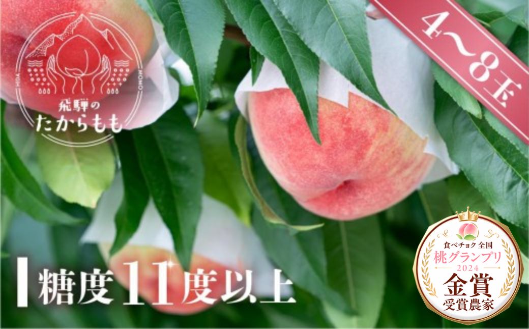 【2027年 先行受付】飛騨のたからもも 糖度11度以上（4-8玉）※7月中旬〜順次お届け | 桃 朝採れ 白桃 もも フルーツ ギフト 果物 人気 おまかせ 飛騨桃 飛騨高山 つむぎ果樹園 GH006