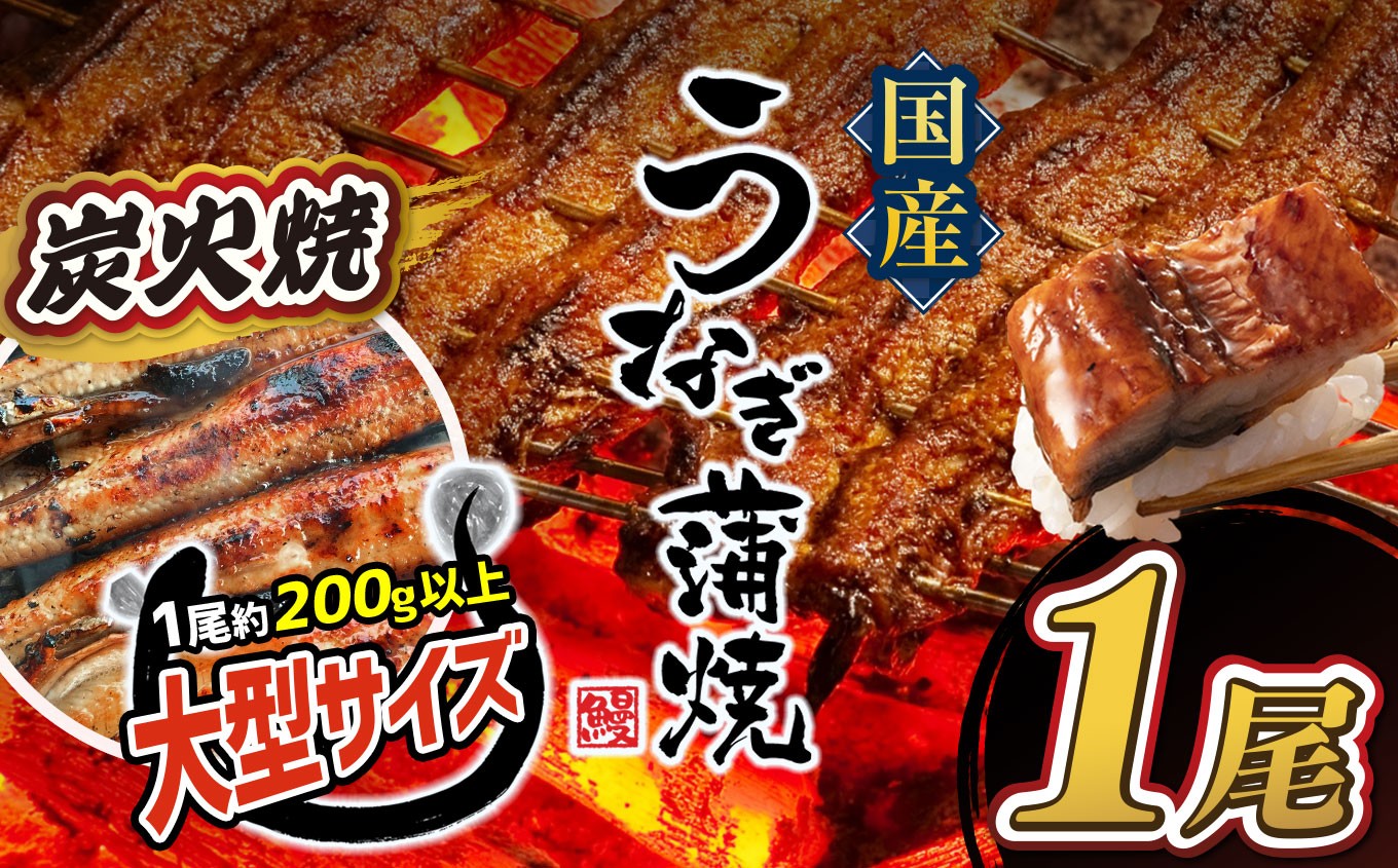 
                  うなぎ 数量限定 国産 特大うなぎ 1尾  | 熊本県 熊本 くまもと 和水町 なごみまち なごみ 鰻 ウナギ 加工品 加工済 数量限定 冷凍
                
