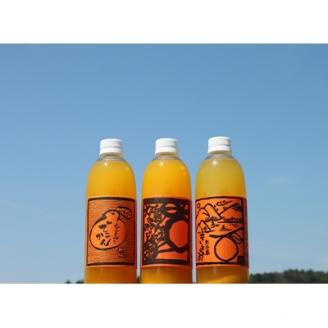 ホリ田ヤの飲みくらべ 島みかんジュース 3種類500ml×6本セット【VB01220】