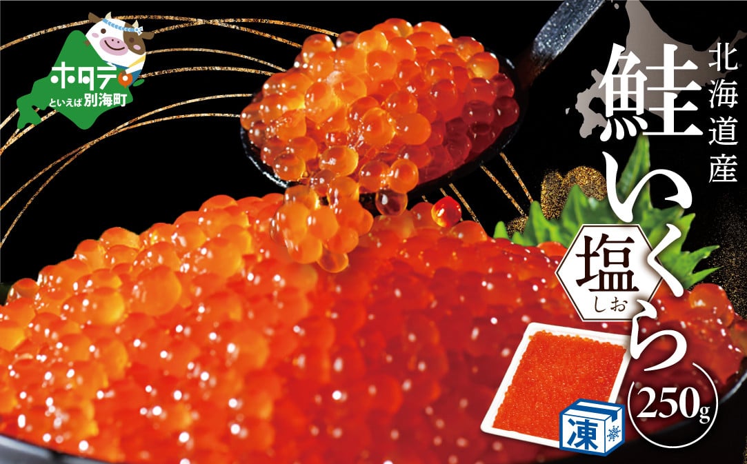 
            ★NR塩いくら！本場 北海道 産 塩イクラ 250g【NK000NR00】（野付漁業協同組合）（ふるさと納税 いくら イクラ 塩漬け いくら塩漬け イクラ塩漬け 鮭 鮭卵 国産 野付 別海町 北海道 ふるさとチョイス ふるさと納税 ランキング キャンペーン やり方 限度額 仕組み シミュレーション ）
          