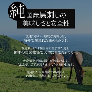 赤身馬刺し 約300g タレ付き 馬肉 熊本の味 純国産