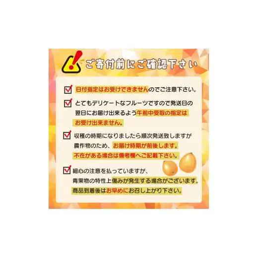 【 期間限定 】びわ 6 ~8個 4 パック 約 1.2kg びわ びわ びわ びわ YN007-2x