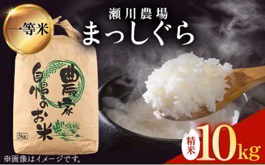【令和7年産先行予約】瀬川農場まっしぐら 精米10kg【ご飯 ごはん 米 こめ お米 弁当 精米 一等米 国産米 県産米 ブランド米 おにぎり 国産 青森県 七戸町】【02402-0334】