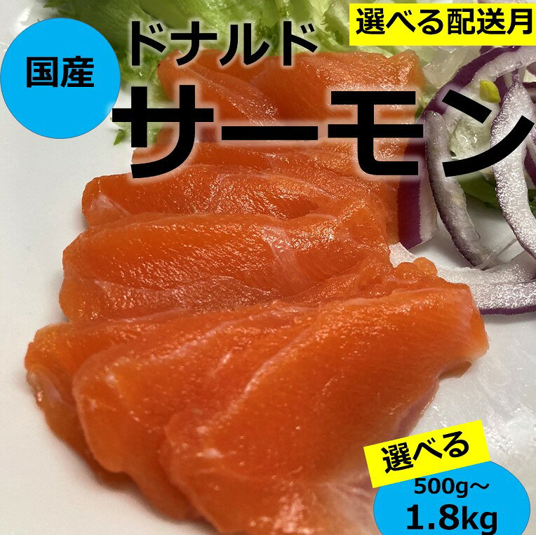 【ふるさと納税】国産サーモン 500g/ 800g/1800g 訳あり 発送時期が選べる サイズ不揃い 鮭 ポーション 小分け ブロック 柵 刺身 海鮮丼 カルパッチョ 骨取り 生食 海鮮 冷凍 年内発送 最短5営業日発送 内容量が選べる 北海道 サケ 無添加