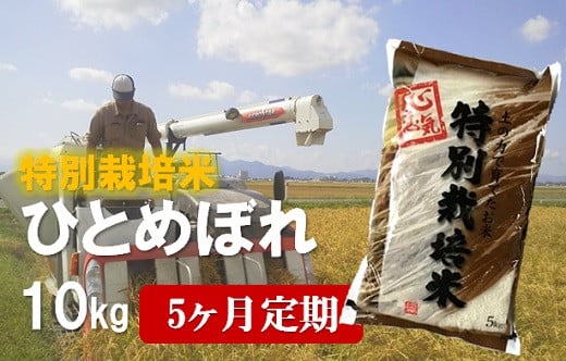 
令和6年産【定期便5回】エコファーマーのひとめぼれ10kg×5回
