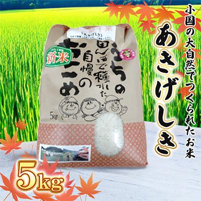 ふるさと納税 小国町 【令和7年産】小国町の大自然の中でつくられたお米(5kg) あきげしき