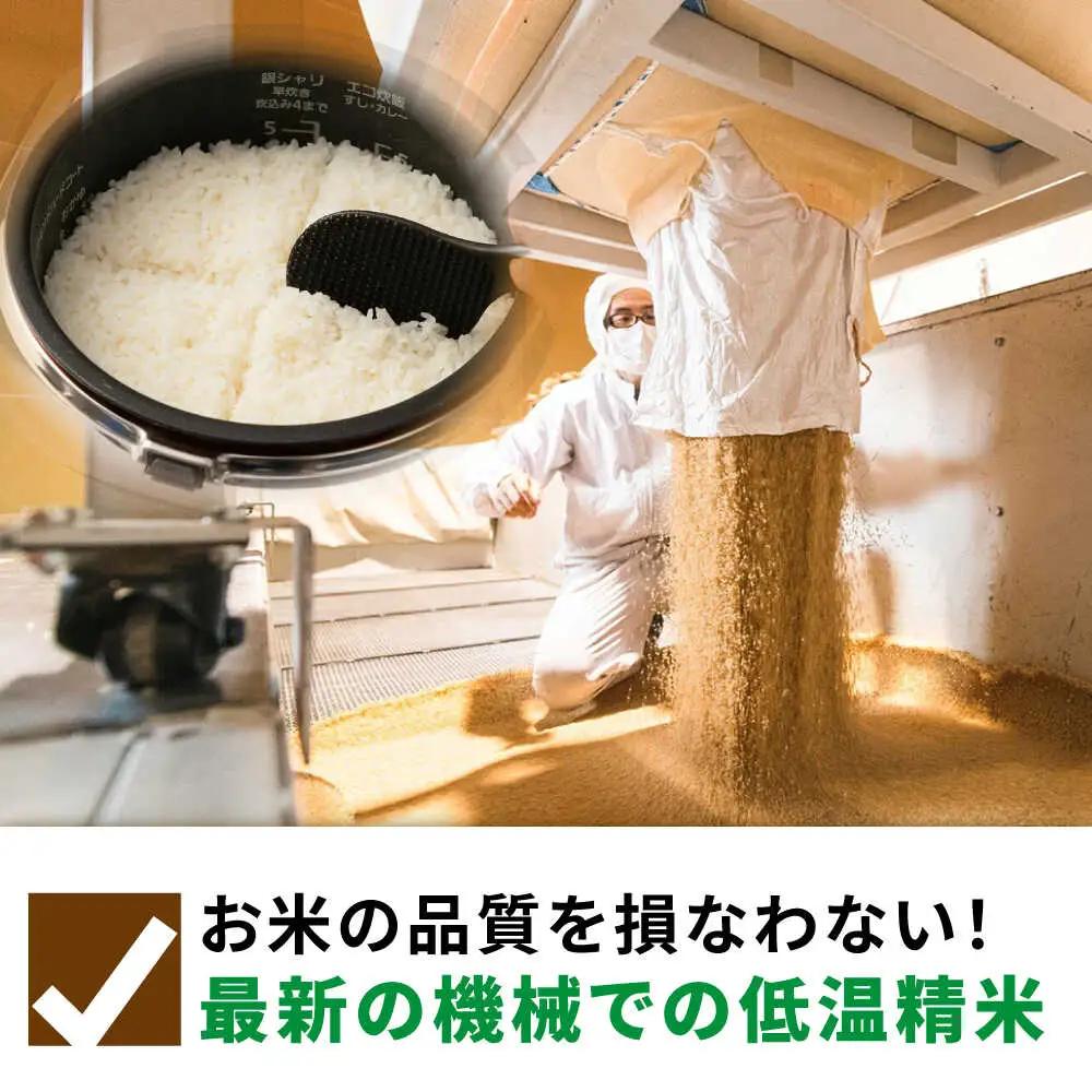 さがびより 白米 10kg [UDS001] 白米