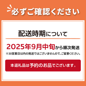 【予約：2025年9月中旬から順次発送】農家直送 村中さんちの玉ねぎ 10kg混玉 M～2Lサイズ ( タマネギ たまねぎ 玉葱 野菜 北海道産 詰合せ 10kg ふるさと納税 )【095-0021-