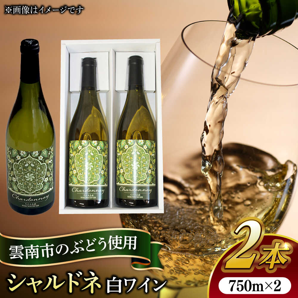 【ふるさと納税】 ワイン 尺の内農園ワイン シャルドネ 2本セット | ワイン シャルドネ 農園 島根 2本セット 白ワイン 国産ワイン 日本ワイン お酒 酒 アルコール 家飲み 宅飲み 晩酌 人気 おすすめ ギフト プレゼント 島根県雲南市/社会福祉法人 あおぞら福祉会[AIBU003]