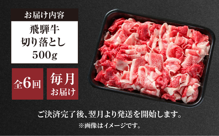 《定期便》6回 訳あり 飛騨牛 切り落とし 500g 肉 飛騨牛 定期 切落し 飛騨高山ミート 60,000円  | 冷凍真空パック 肉 お肉 黒毛和牛 和牛 人気 おすすめ 牛肉 [MZ111]